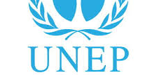 پروگرام محیط زیست ملل متحد (UNEP)